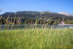 thumbnail: Lake