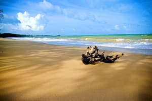 thumbnail: Beach