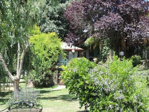 thumbnail: Garden