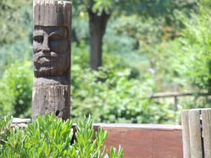 thumbnail: Garden