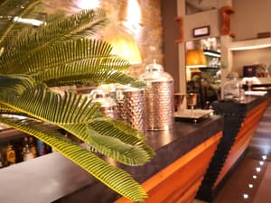 thumbnail: Interior