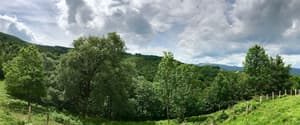thumbnail: View from room
