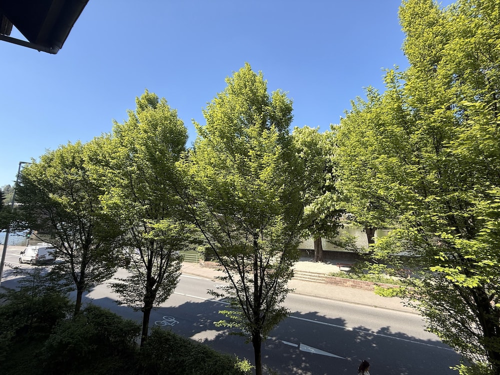 View from room
