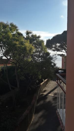 thumbnail: View from room