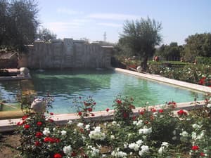 thumbnail: Garden view