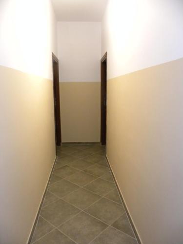 87664201.jpg