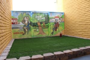 thumbnail: Pet-friendly amenities
