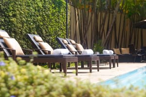 thumbnail: Garden