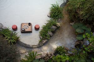 thumbnail: Property grounds