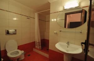 thumbnail: 2940600.jpg
