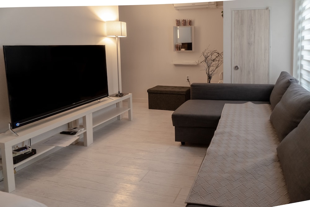Television