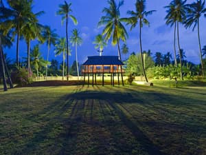 thumbnail: Garden