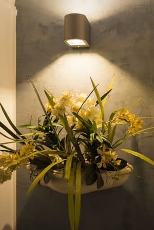 thumbnail: Interior detail