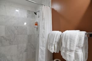 thumbnail: Bathroom shower