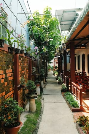 thumbnail: Terrace/patio