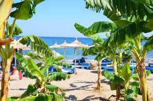 thumbnail: Beach