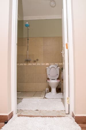 thumbnail: Bathroom shower