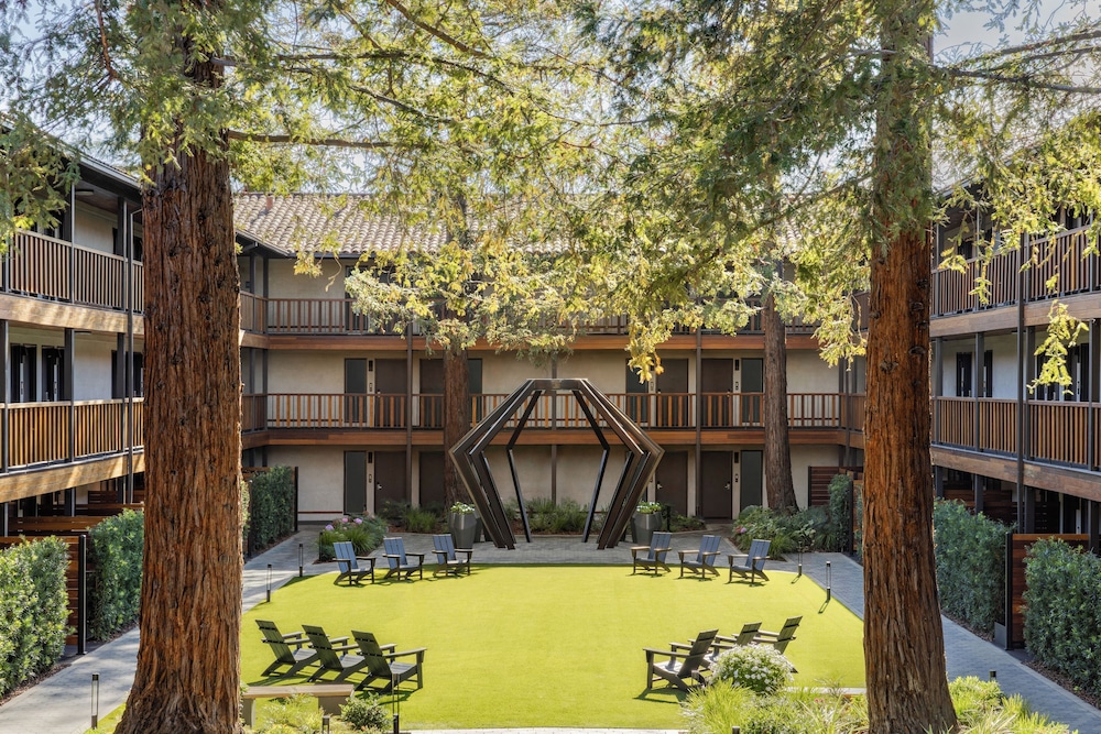 Garden view