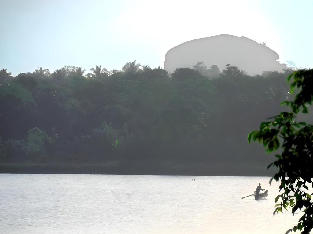463893cc1bf68b805242438e4ab223a8.jpeg