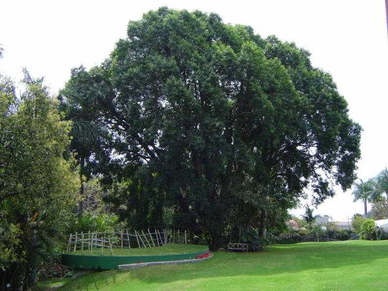 General view
