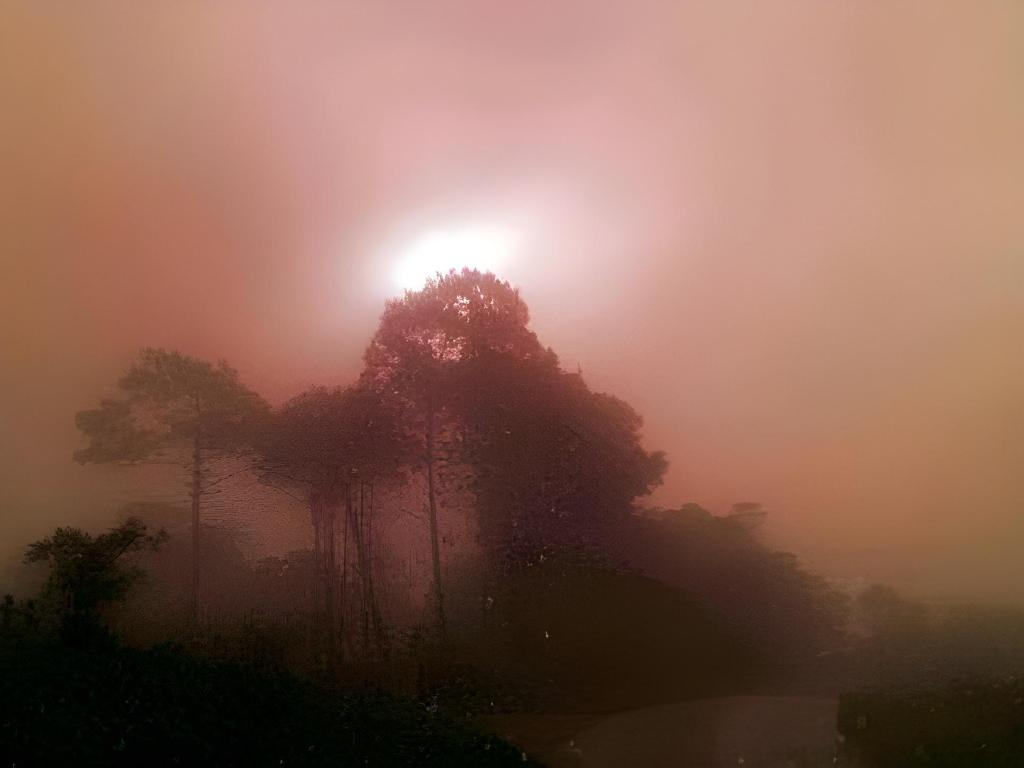 0b8182c6c9a11682f36aa54d0d7da4fb.jpeg
