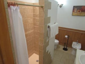 thumbnail: Bathroom shower