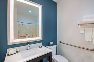 thumbnail: Accessible bathroom