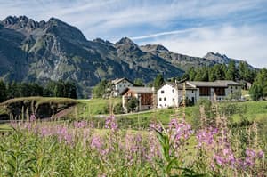 Champfèr-St. Moritz thumbnail