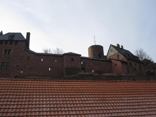 29263548.jpg