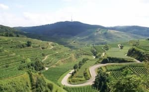 thumbnail: Aerial view
