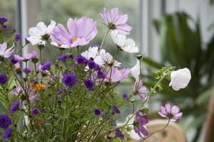 thumbnail: Garden