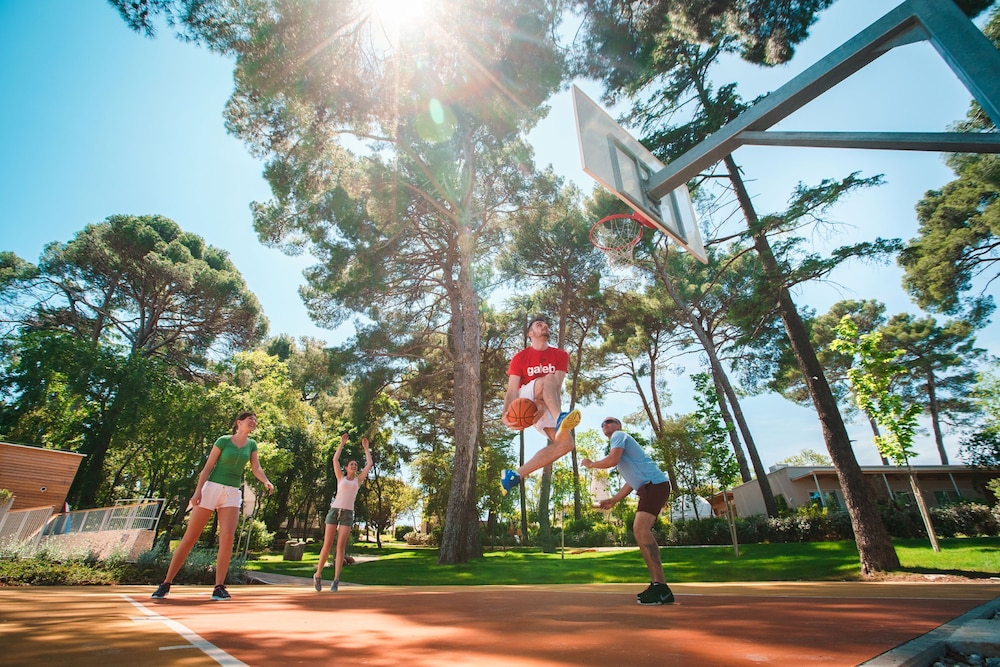 Sport court