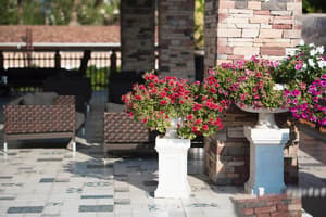 thumbnail: Terrace