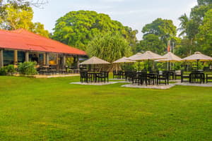 thumbnail: Outdoor dining