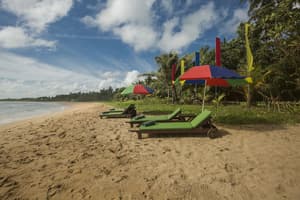 thumbnail: Beach