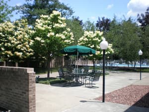 thumbnail: BBQ/picnic area