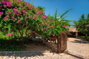 thumbnail: Front of property