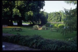 thumbnail: General view