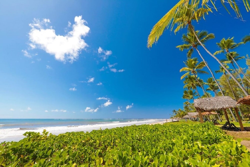 Beach/ocean view