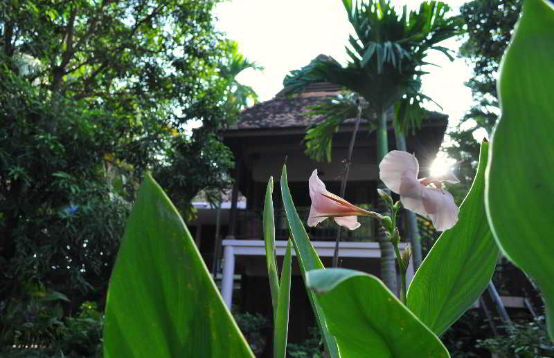 General view