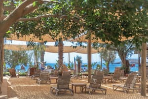 thumbnail: Beach bar