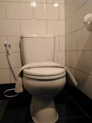 thumbnail: 105564640.jpg