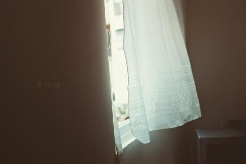 236827545.jpg