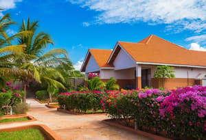 thumbnail: Garden