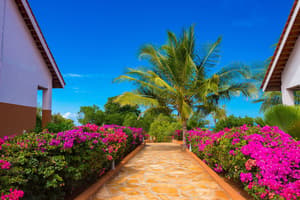 thumbnail: Garden