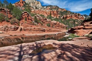 thumbnail: Property grounds