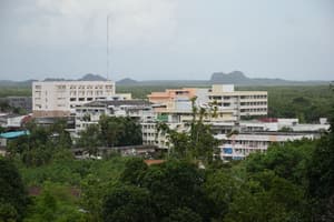 thumbnail: View from property