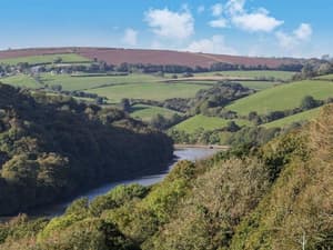 thumbnail: General view