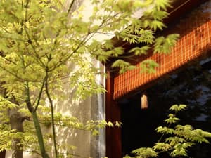 thumbnail: Exterior detail