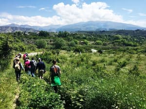 thumbnail: Hiking